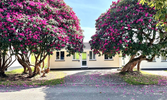 Liskeard Cabina | Cornish countryside lodge in quiet cul de sac