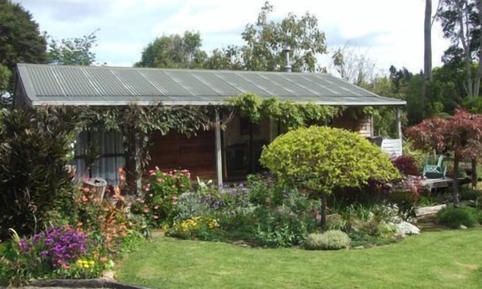 Coromandel Cabaña | Coromandel Orchard Cottage