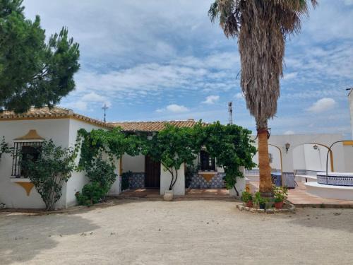 Puerto de Béjar Casa | Cortijo Las Cruces Guillena - Sevilla