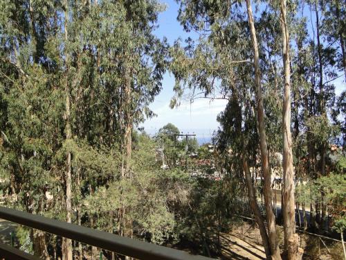 Yeco Apartamento | COSTA ALGARROBO