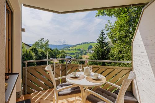 Todtnauberg Apartamento | Cosy Apartment im Wanderparadies Balkon mit Traumblick Sauna im Haus Tiefgarage E-Ladestation