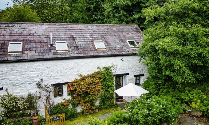 Bontnewydd Cabaña | Cosy Barn Cottage nestled in a Nature Haven