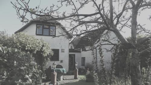 Verwood Casa | Cosy Cottage in Verwood, Dorset