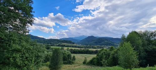 Rasnov Chalet De Esquí | Cosy Forest Chalet