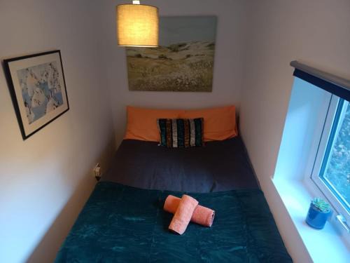 Adamsdown Apartamento | Cosy Garden Flat near Bay & City Centre - Fast Wifi, 5 mins to centre