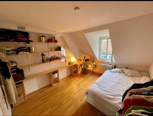 Sihlfeld Casa | Cosy room in attic flat in the center of Zurich