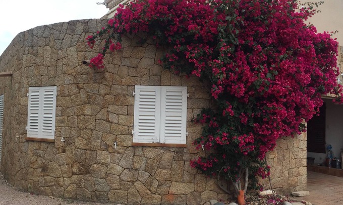 Coti-Chiavari Casa | Coti Chiavari: Casa / villa / chalet - Coti chiavari