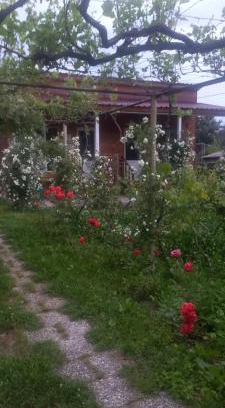 Kvareli Casa | Cottage and Gigo Papa's Wine Cellar