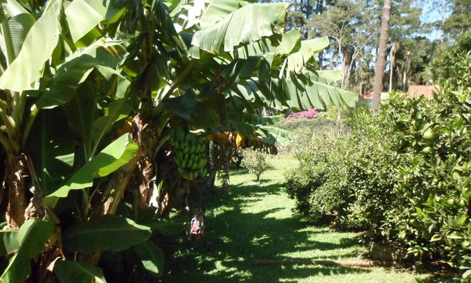 Vargem Grande Paulista Casa | Cottage for rent for WEEKENDS AND HOLIDAYS