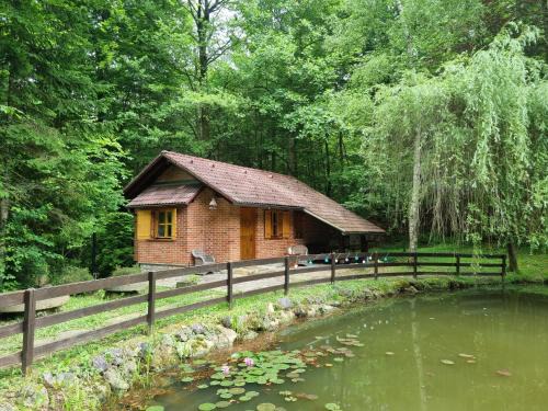 Smarje pri Jelsah Chalet De Esquí | Cottage by the pond Pavel