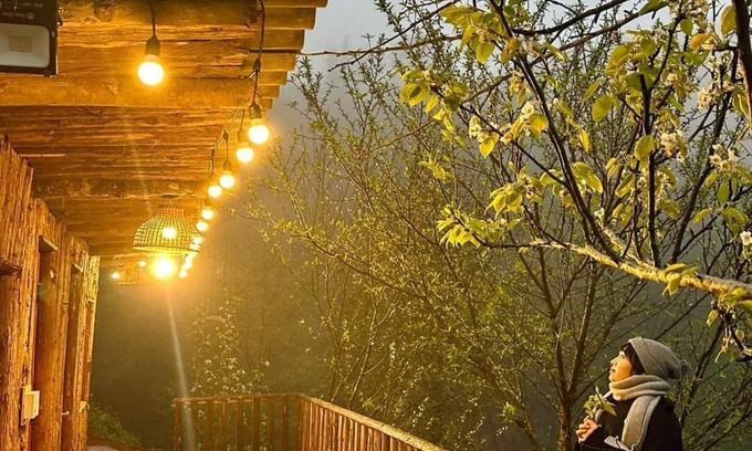 Ma Cha Cabina | Cottage Garden Sapa