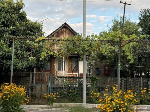 Chakvi Casa | cottage in Chakvi