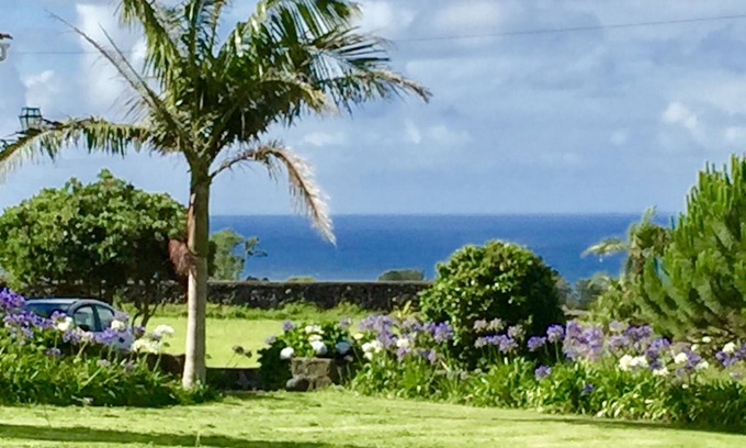 Fenais da Luz Otro | Casa de campo en propiedad con plantación de piña, 4ha de tierra y vistas al mar