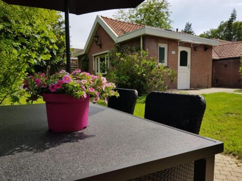 Garderen Casa | Cottage in Veluwe near Forest Park