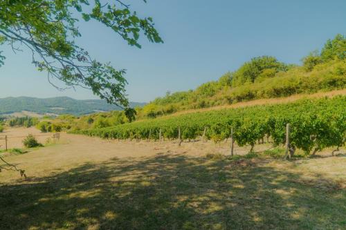 Mirabel-et-Blacons Casa | Cottage Marcel - La Souche Fleurie