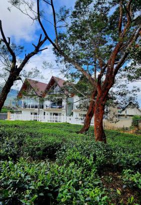 Nuwara Eliya Hotel | Cottage Mountain Misty-Nuwaraeliya