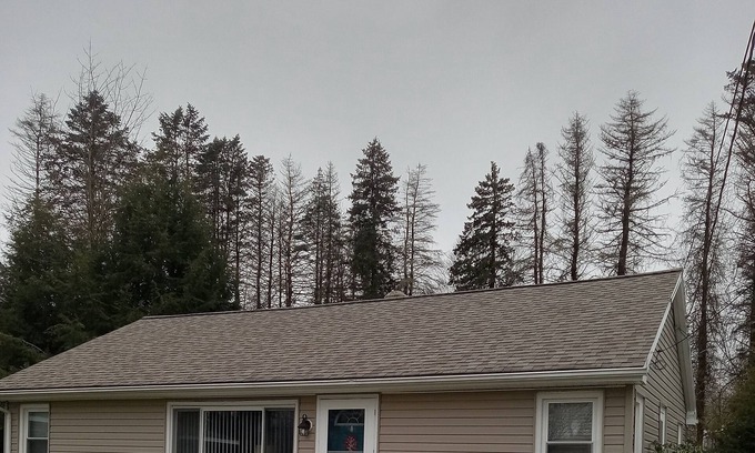 Edinboro Cabaña | Cottage near edinboro lake on walnut street