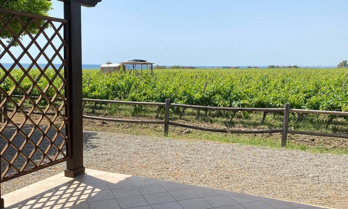 Ciro Marina Casa | cottage nestled in a vineyard on the sea