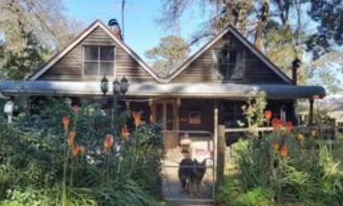 Mount Burnett Cabaña | Cottage, nicely tucked away yet close to everything.