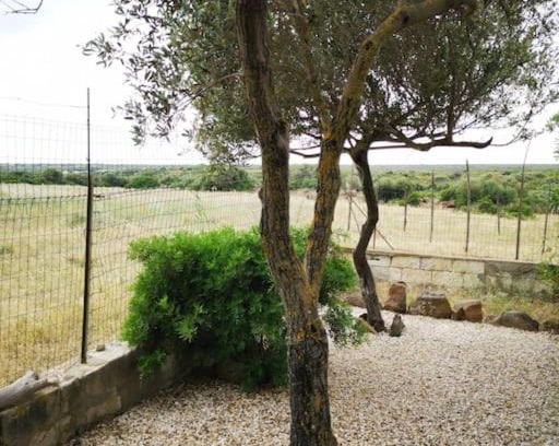 Cuglieri Chalet De Esquí | Cottage Su Lizzu countryside&sea