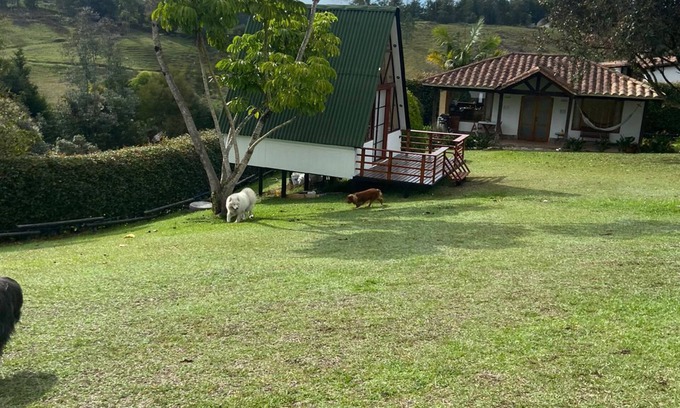 Rionegro Cabina | Cabaña rodeada de naturaleza,Espacio ideal para descansar y disfrutar en pareja