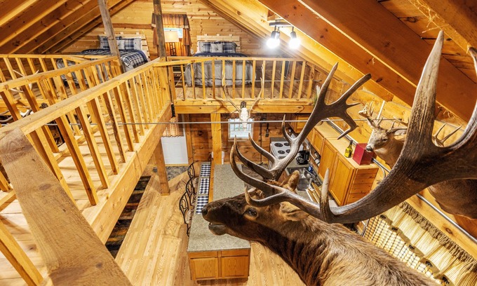 Marshland Cabina | Country Cabin Guest House