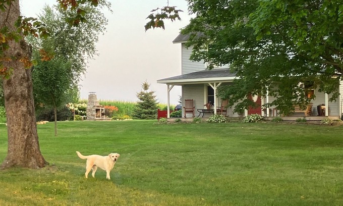 Rushford Otro | Country Chic, Hovde Home at Labrador Farm