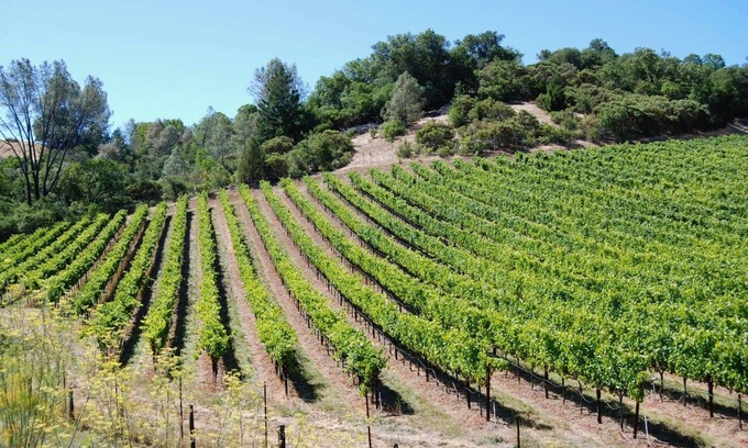 Cloverdale Cabaña | Country Cottage on a beautiful Winecountry Vineyard