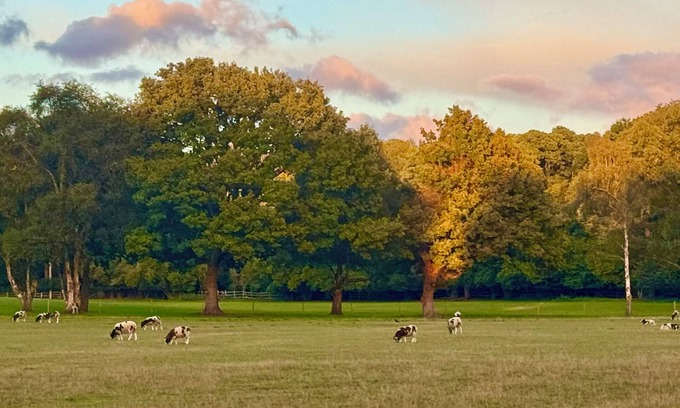 Liphook Casa | Country Escape on Private Estate, Dogs, Walking