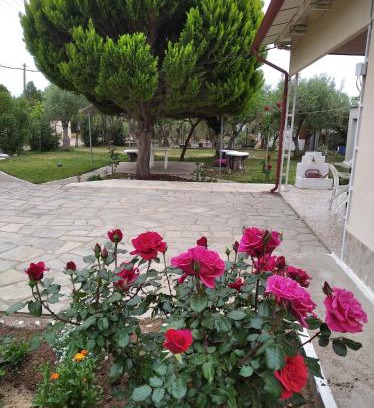 Kalyves Polygyrou Casa | Country House Kalyves, 2 bedrooms, sleeps 6, 700sqmgarden, 180m from beach