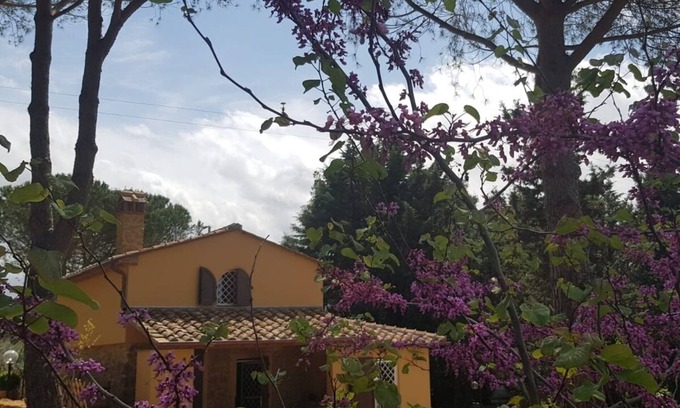 Casale Marittimo Casa | Casa de campo sobre la piedra inmersa en el verde de los olivos de la colina.