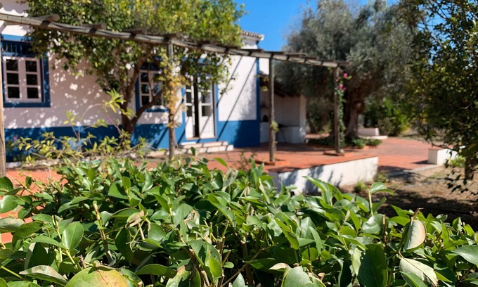 Alvito Casa | Casa rural "Quinta do Céu - Refugio en Alentejo", un entorno idílico