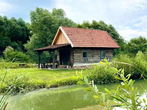 Vadu Crisului Chalet De Esquí | Country House