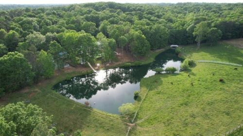 Bynum Otro | Countryside Getaway Green Dome/serenefarm retreat