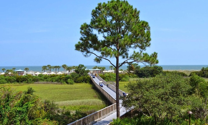 Palmetto Dunes Complejo | Courtyard View - 2 Bedroom - Marriott's SurfWatch - Full Resort Access