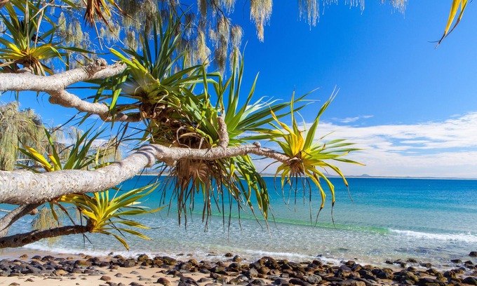 Noosa Heads Apartamento | Cove Point Apartment 4 – Little Cove Dreaming