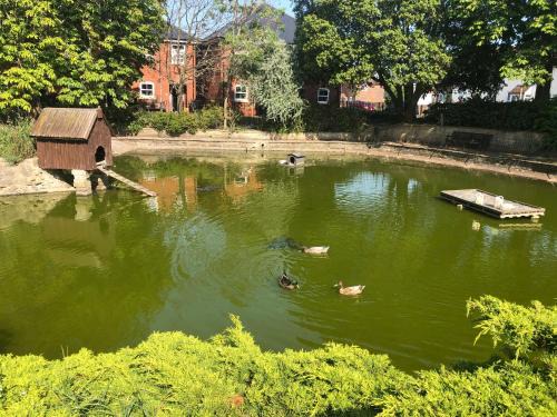 Harwich Casa | Cox`s Pond View