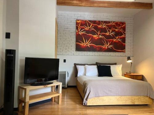 Coyoacán Apartamento | Coyoacan historico, museo Frida.