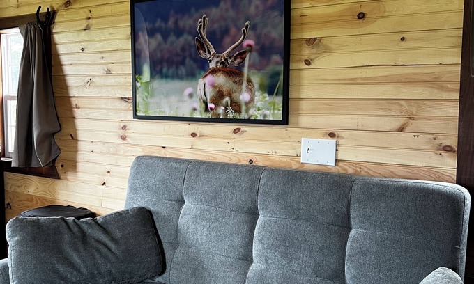 Barton County Cabina | Cozy 1-bedroom cabin in charming Lamar MO with AC