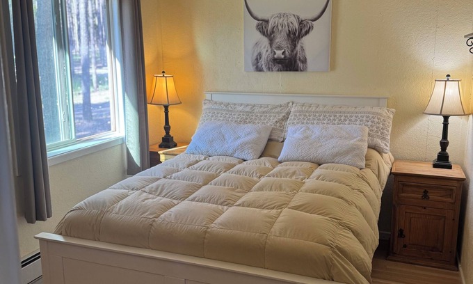 Casper Mountain Cabina | Cozy 1-bedroom cabin on Casper Mountain set upon 6 acres of peaceful forest.