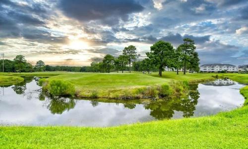 Central Myrtle Beach Apartamento | Cozy 1BR Condo with Pool Access Sleeps 4