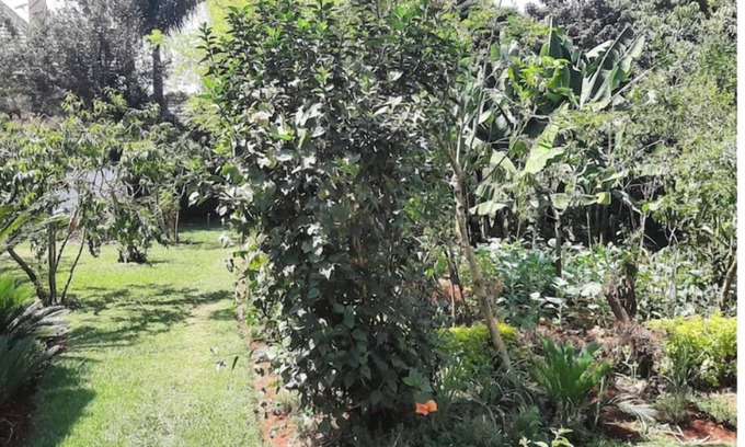 Muthaiga Casa | Cozy 2 bedroom home in Roslyn Runda with WI-FI