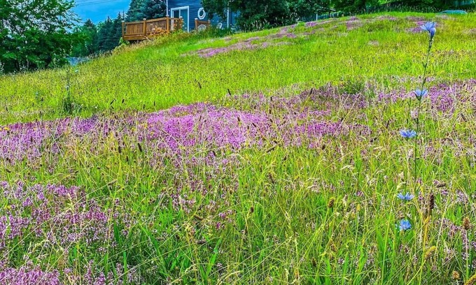 Ticonderoga Casa | Cozy Adirondack Loft Near Lake Champlain & George, Hiking and Historical Sites
