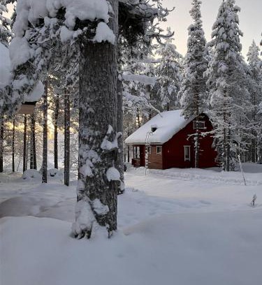 Koengaes Chalet De Esquí | Cozy and comfortable cottage, Levi Lapland