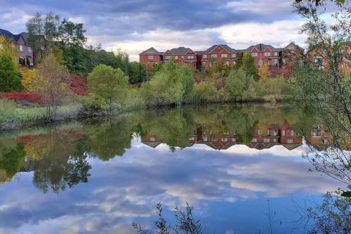 Richmond Hill Apartamento | Cozy and comfy Studio Apartment