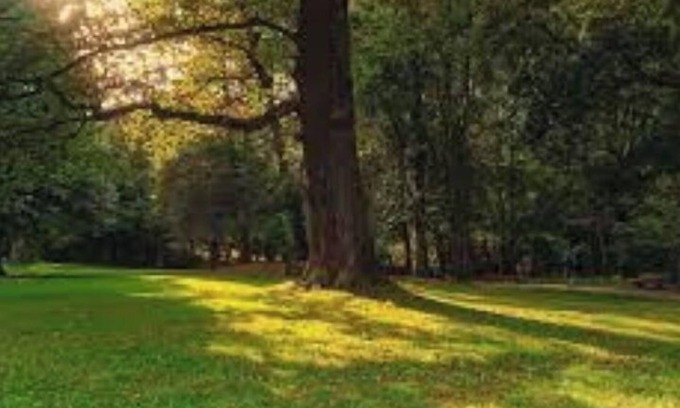 DeKalb County Casa | Cozy and Private Apartment in Atlanta Suburbs