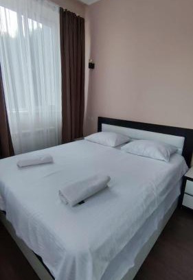 Likani Apartamento | Cozy apartment in Borjomi with beautiful view