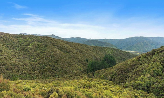 Eketahuna Cabina | Cozy back country hunting cabin. Peace, quiet and miles of bush.