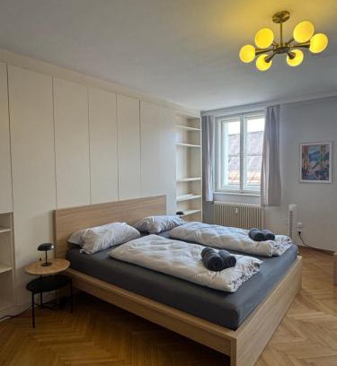 Klagenfurt am Woerthersee Apartamento | cozy big old town apartment