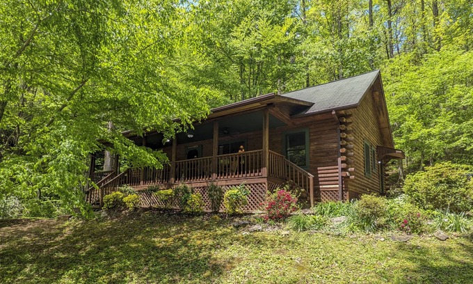 Rosman Cabina | Cozy Blue Ridge Mountain Cabin on 18 Acre Lot